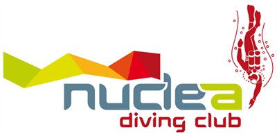 Logo Nuclea