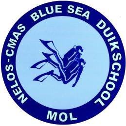 Logo Blue Sea